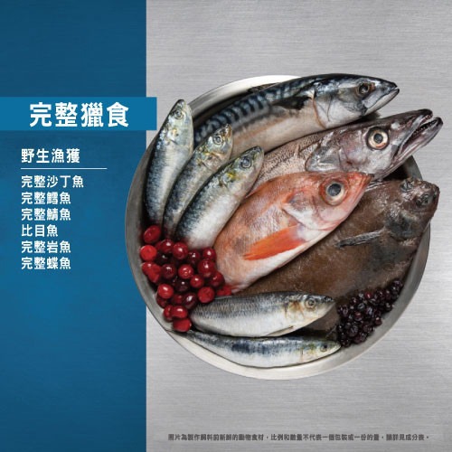 歐睿健 Orijen | 六種鮮魚無榖貓飼料